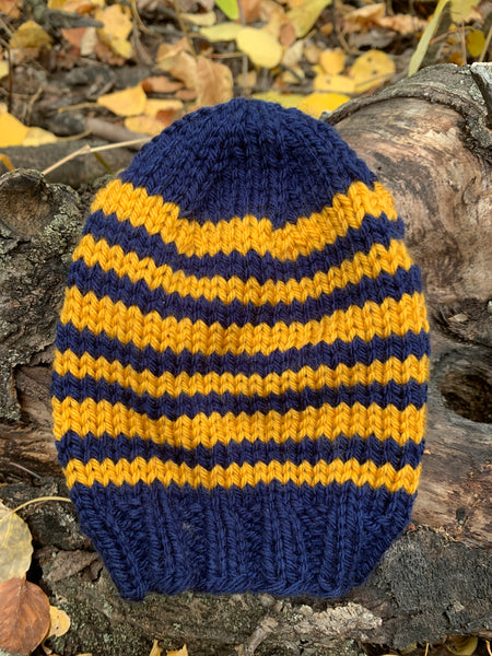 Navy & Gold Beanie, newborn