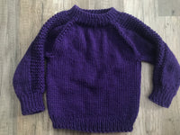 Purple Pullover with Textured Sleeves, 12-18 months