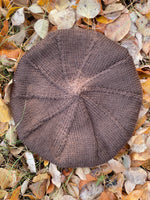 Brown Beret, adult